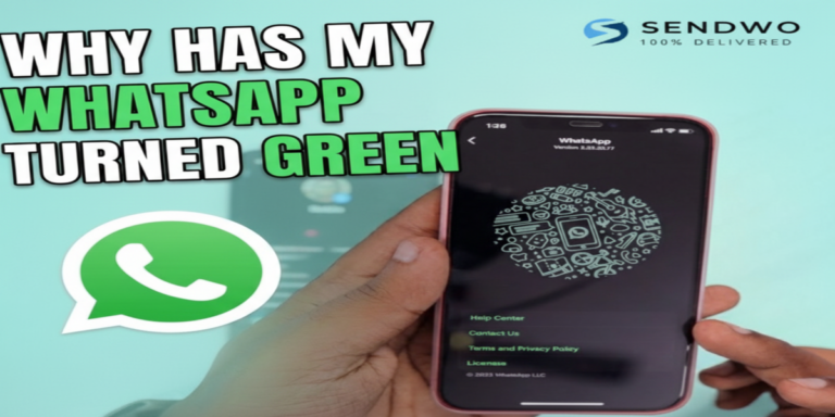 Why Has My WhatsApp Turned Green