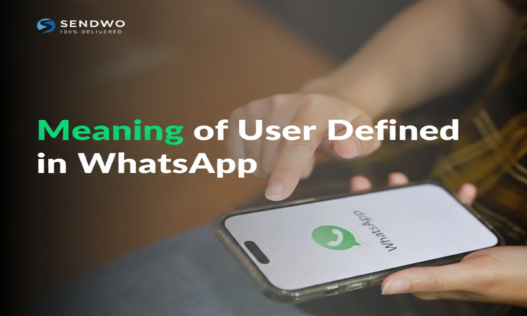 Meaning of user defined in whatsapp